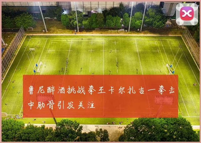 鲁尼醉酒挑战拳王卡尔扎吉一拳击中肋骨引发关注