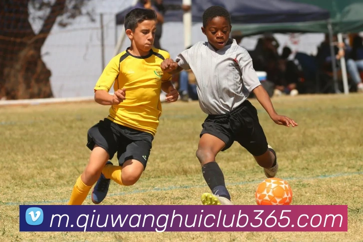 球王会体育平台生态图